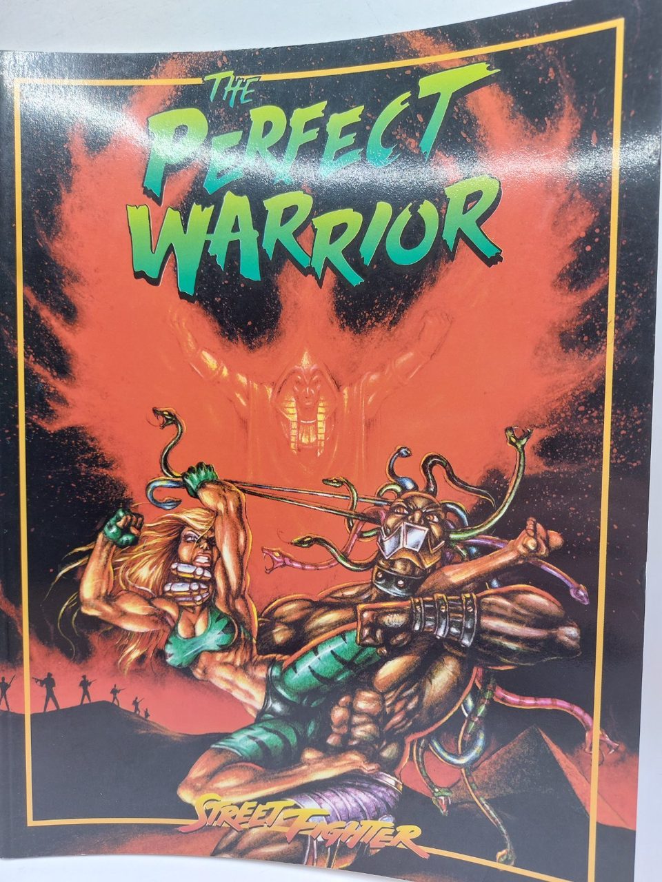 The Perfect Warrior (Street Fighter) [Paperback]