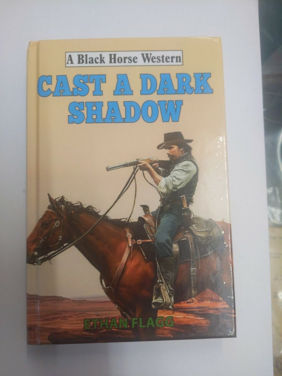 Cast a Dark Shadow by Ethan Flagg (Hardcover, 2018) Signed Copy