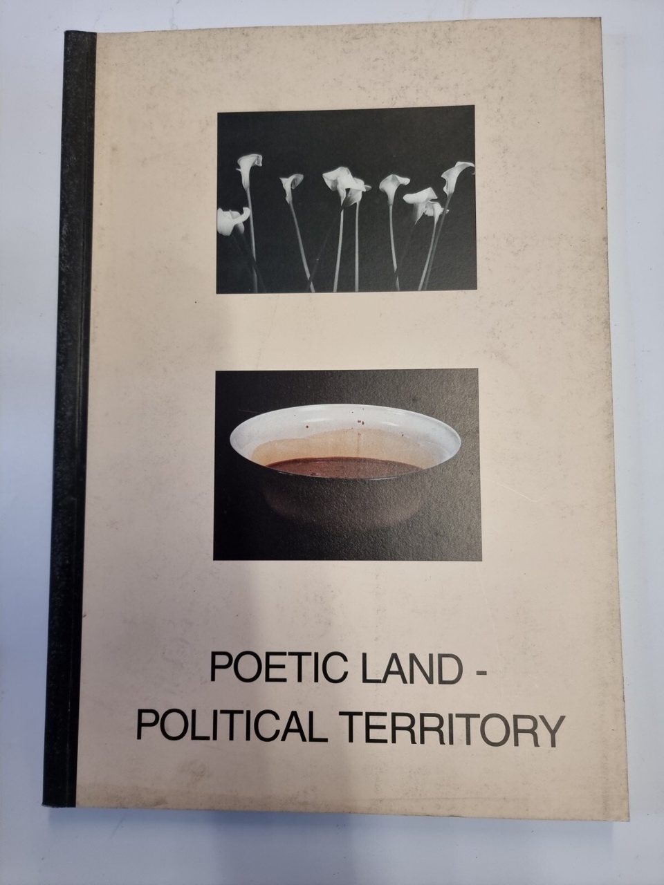 Poetic Land - Political Territory: Contemporary Art from Ireland