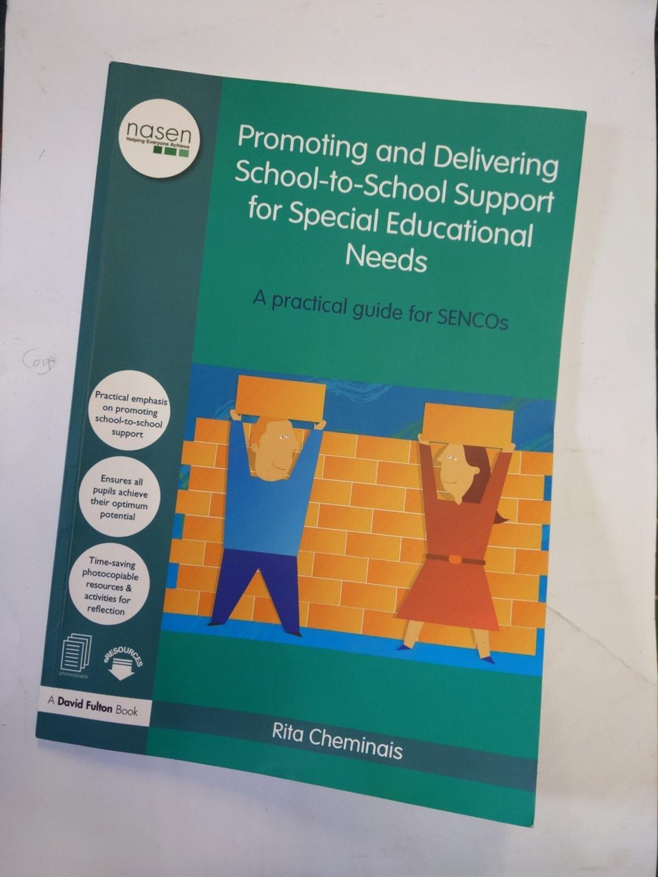Promoting and Delivering School-to-School Support for Special Educational Needs