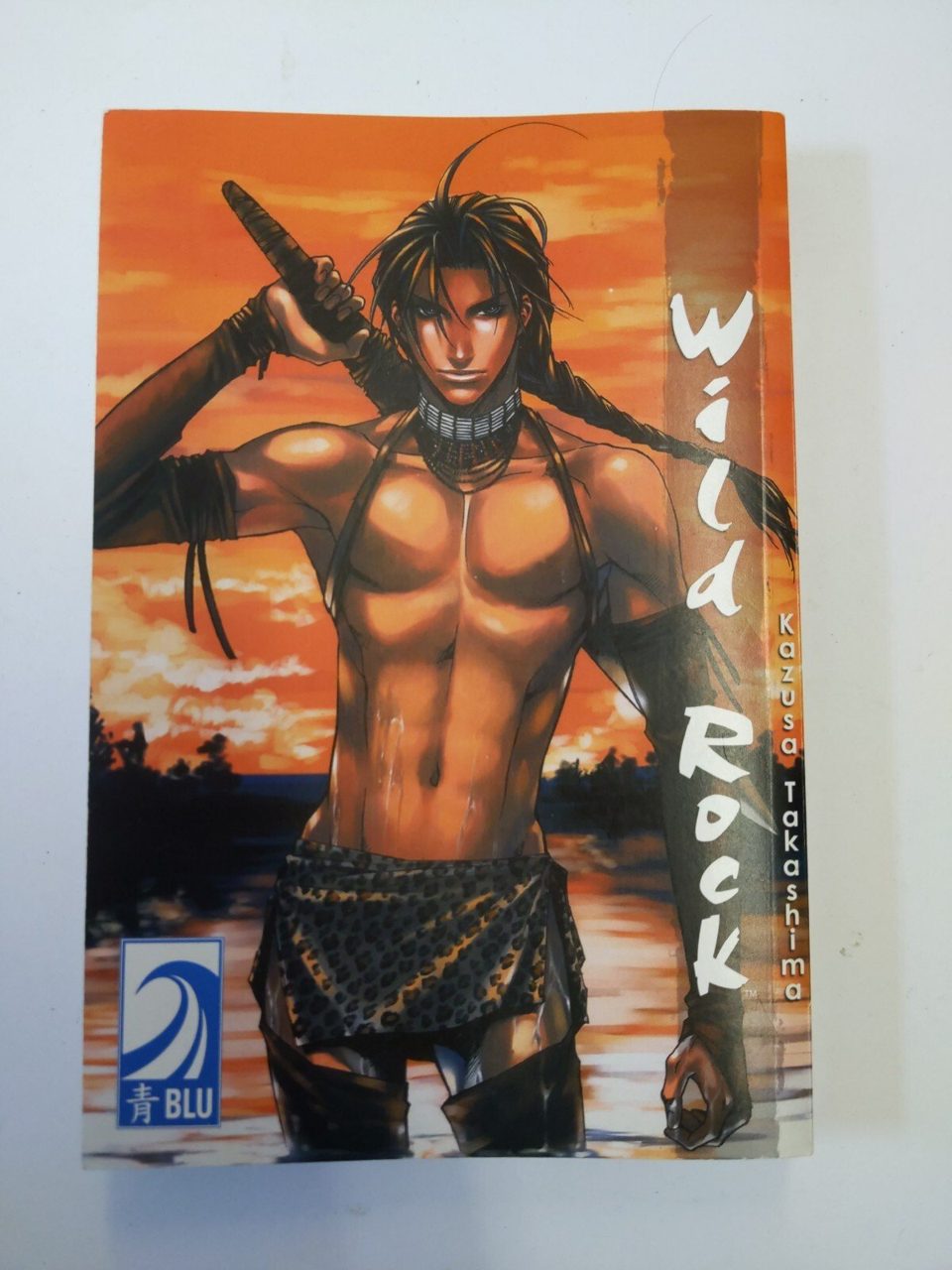 Wild Rock: v. 1, Takashima, Kasuza, Adult Content