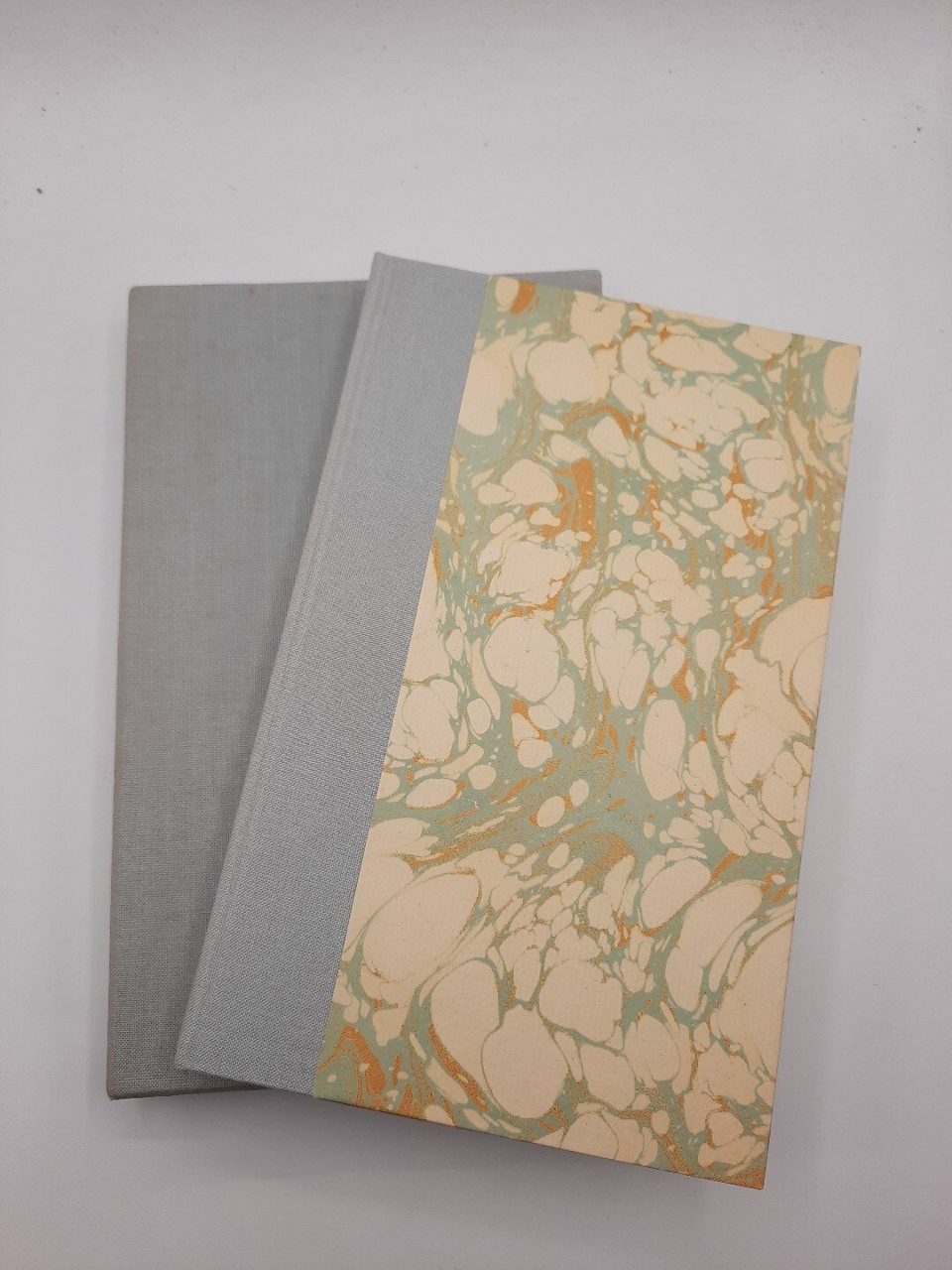 The Medical Dictator Major Greenwood Keynes Press Slipcase Edition
