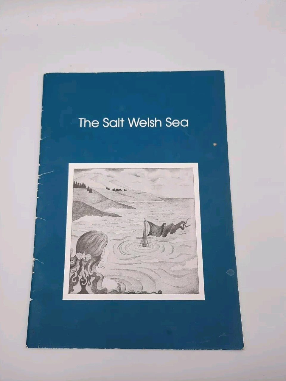 The Salt Welsh Sea Gwyn Jones Illustrated By Victoria Pilling
