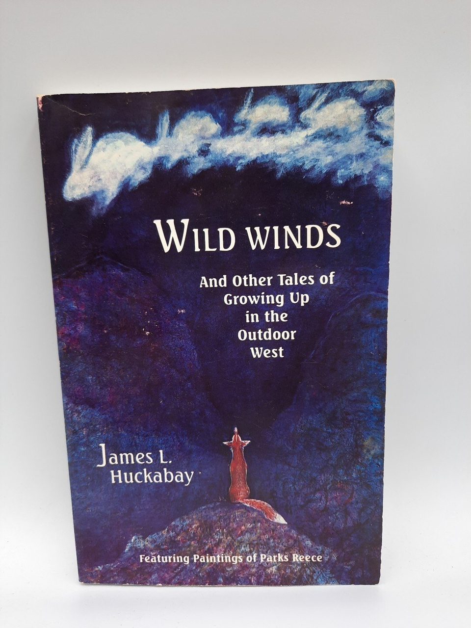 Wild Winds James L Huckabay Illustrated