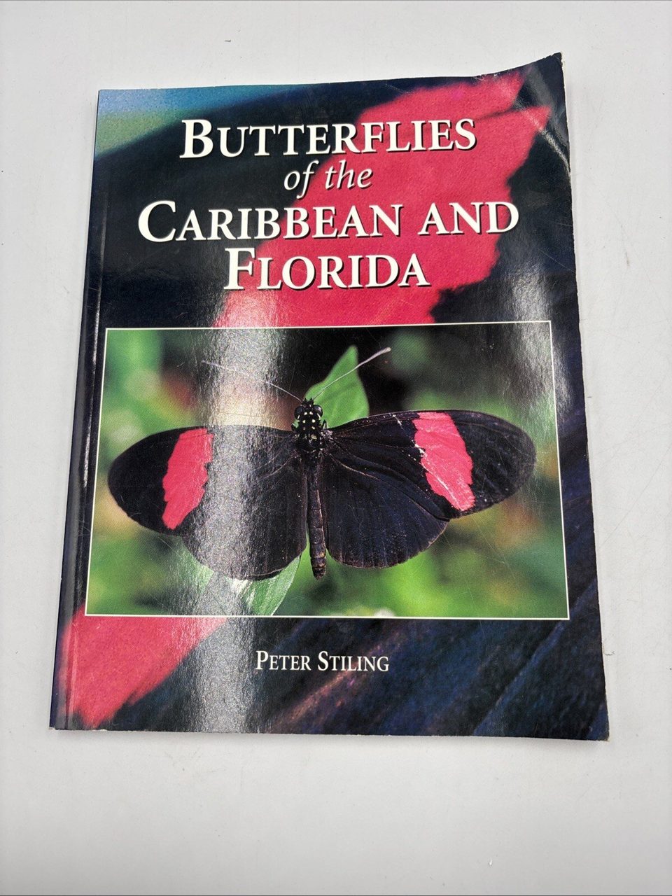 Butterflies Caribbean and Florida by Peter Stiling (Paperback, 1999)