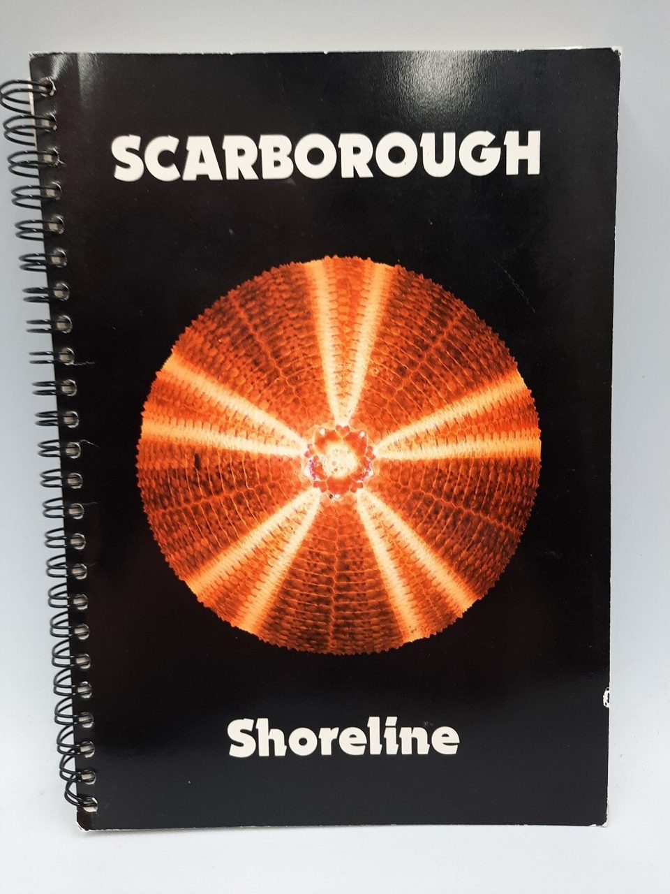 Scarborough Shoreline