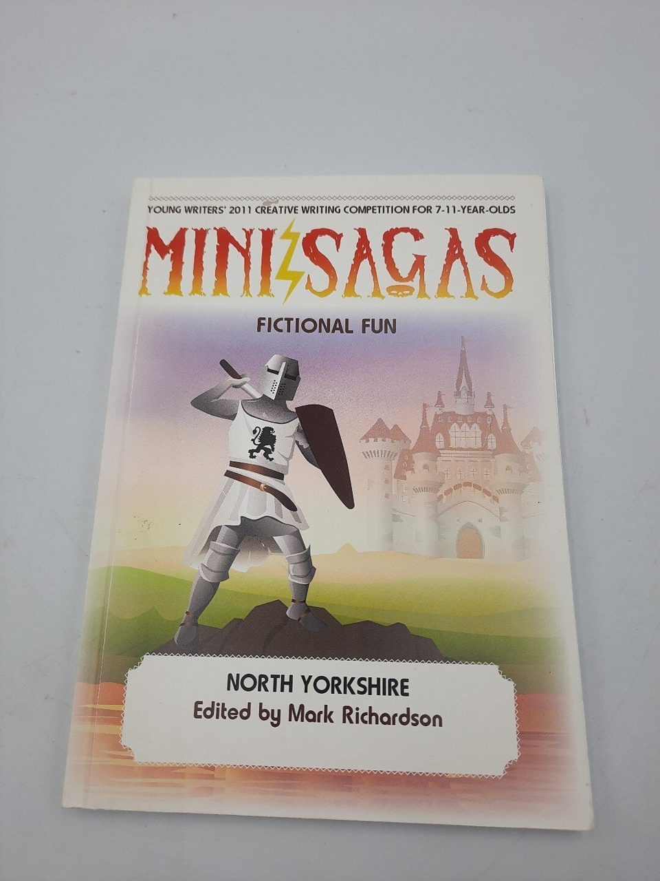 Mini Sagas - Fictional Fun Yorkshire & The North Edited By Mark Richardson