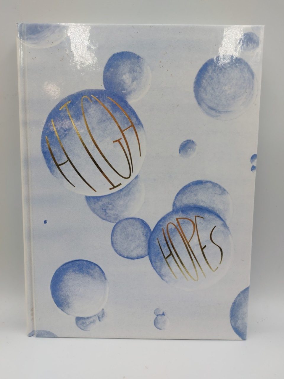 Suffield High School Saggitta 1996 High Hopes Vol 57 Presented To Lord Derwent