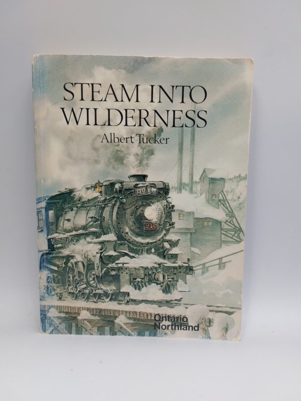 Steam into Wilderness Ontario Northland Albert Tucker