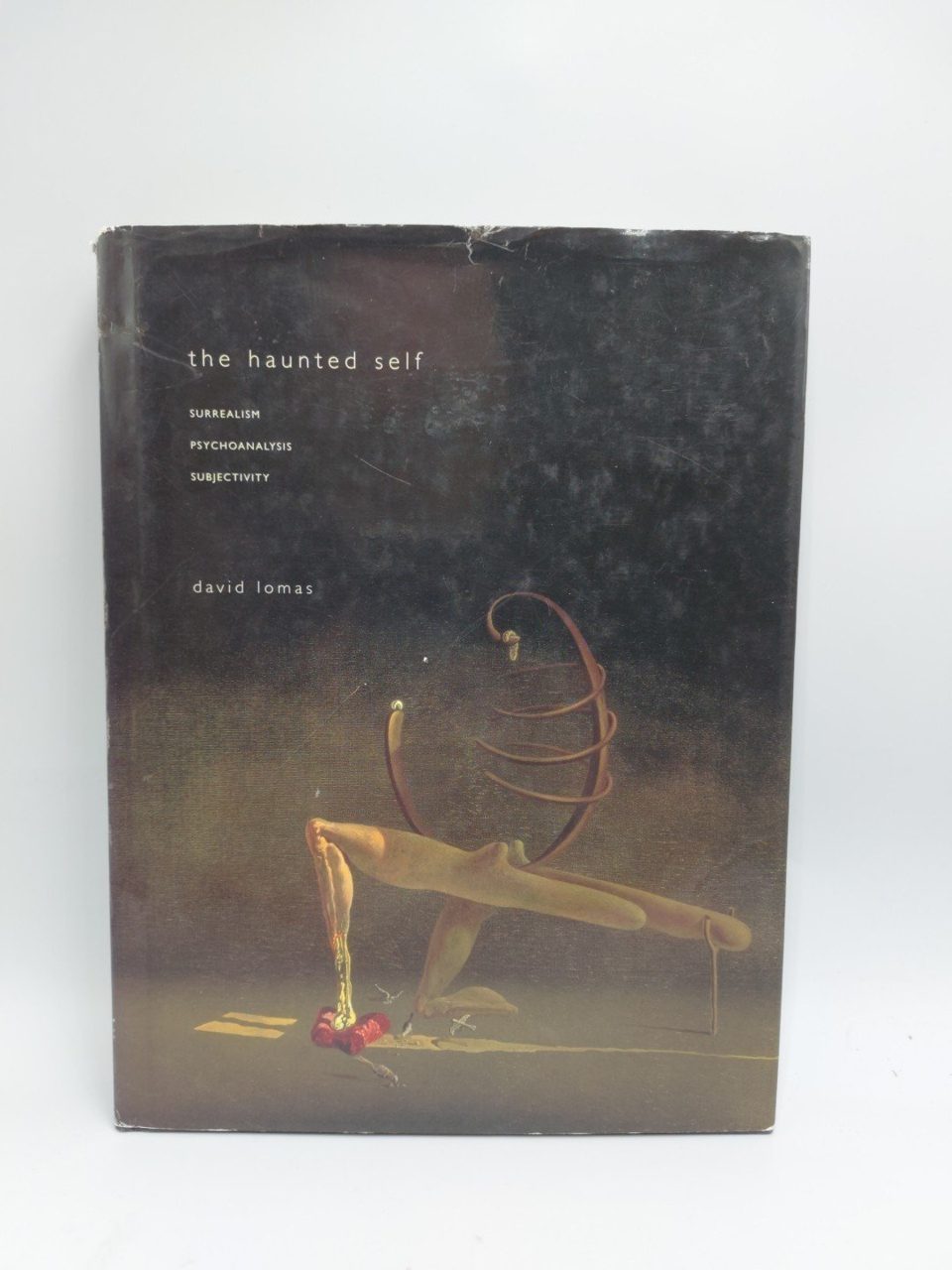 The Haunted Self - Surrealism Psychoanalysis Subjectivity David Lomas