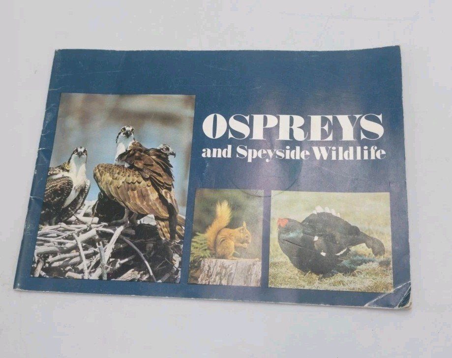 Ospreys and Speyside Wildlife, Dennis, Roy