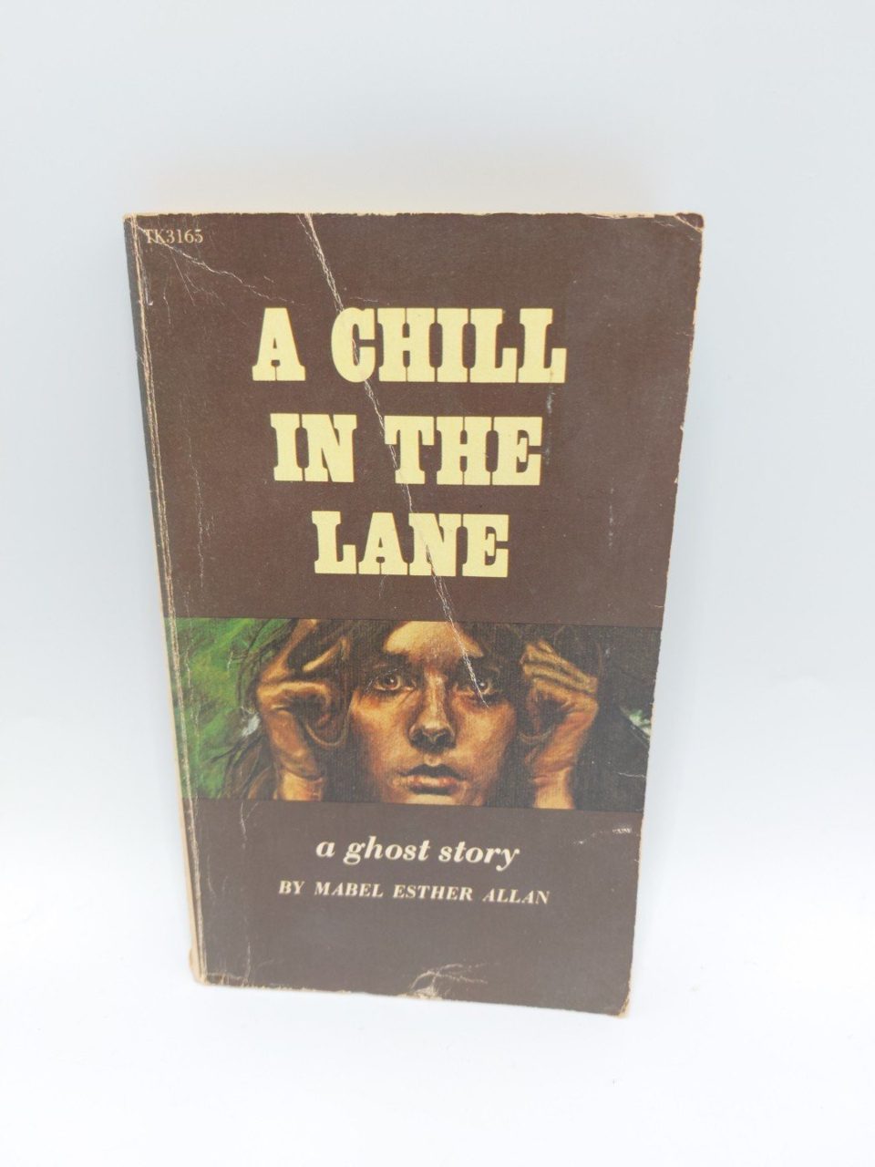 A Chill In The Lane A Ghost Story Mabel Esther Allan