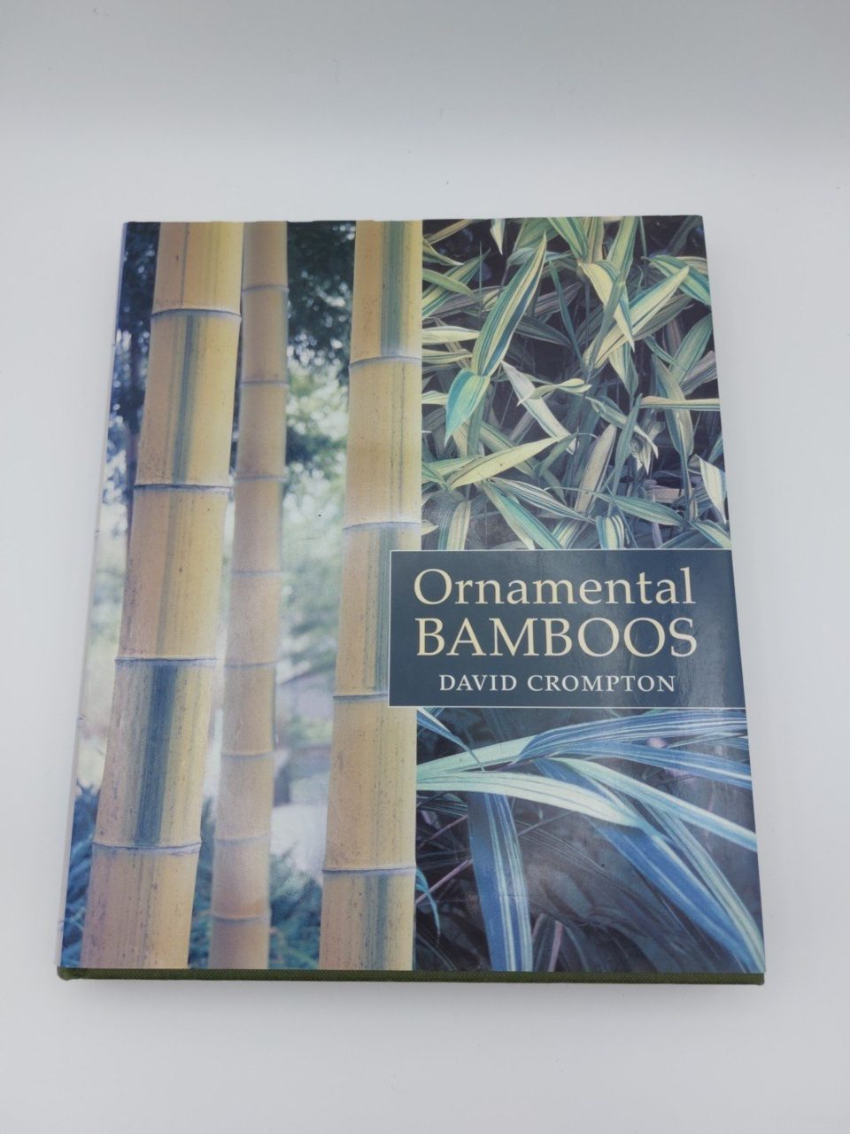 Ornamental Bamboos by David Crompton
