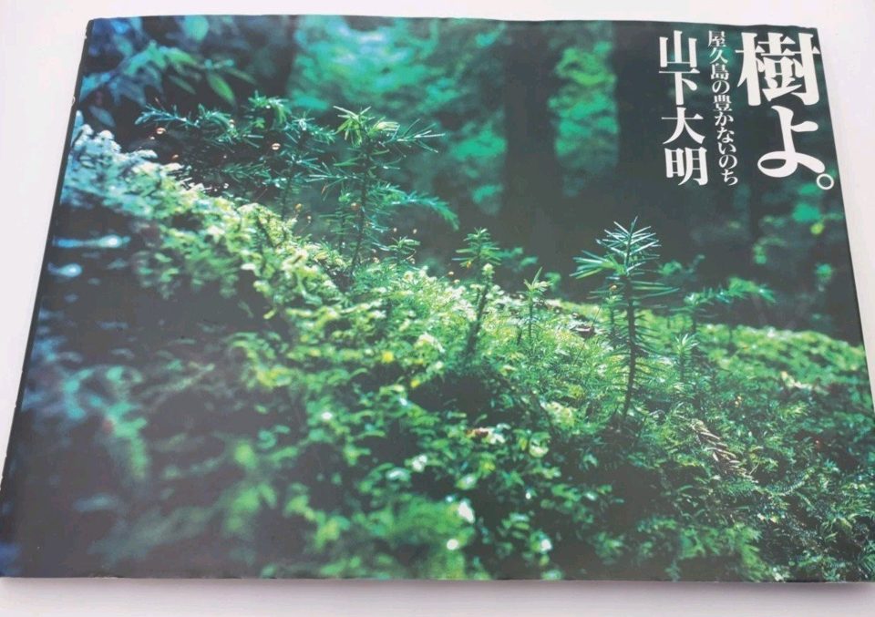 Tree The Abundant Life Of Yukashima Yamashita Daming 1992 Japanese Language