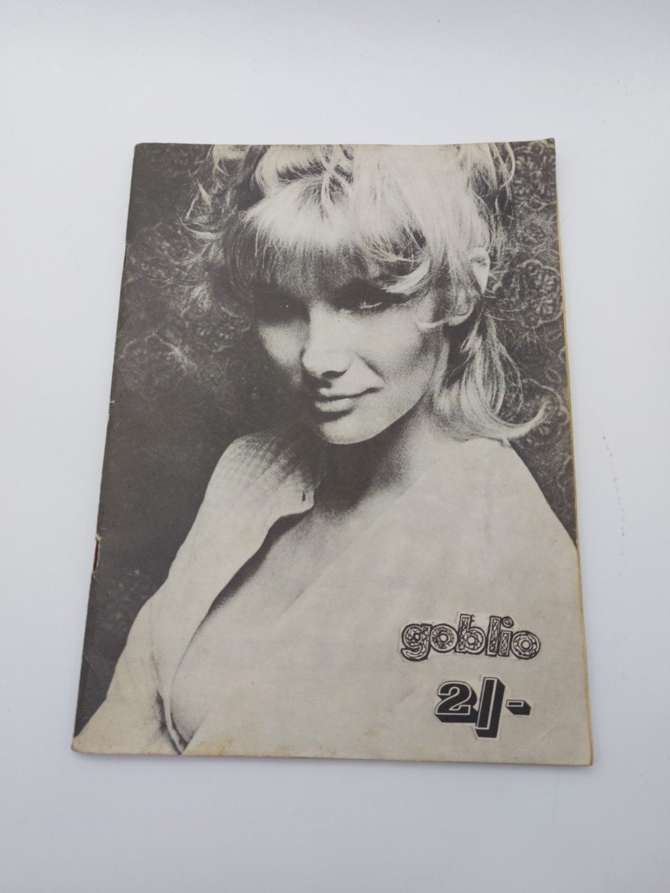 Southampton Rag Week Programme 1964 Goblio