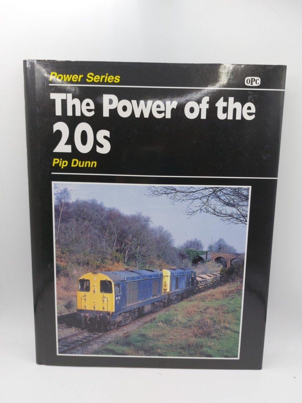 The Power Of The 20s Power Series Pip Dunn