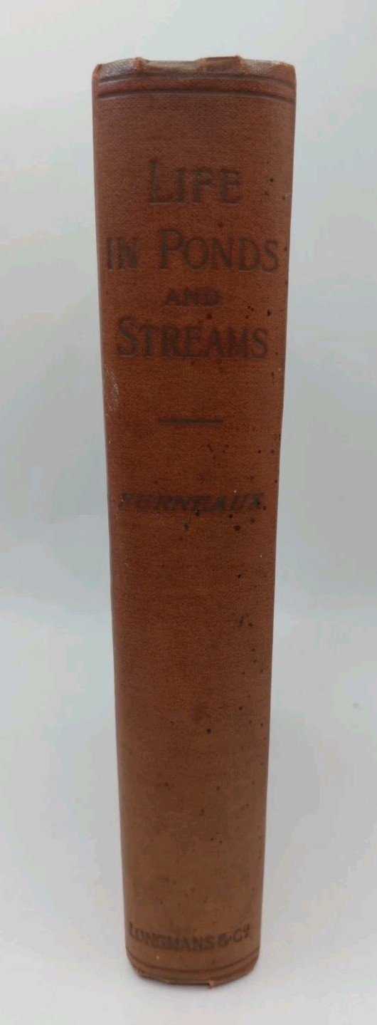 Life in ponds & streams W. Furneaux