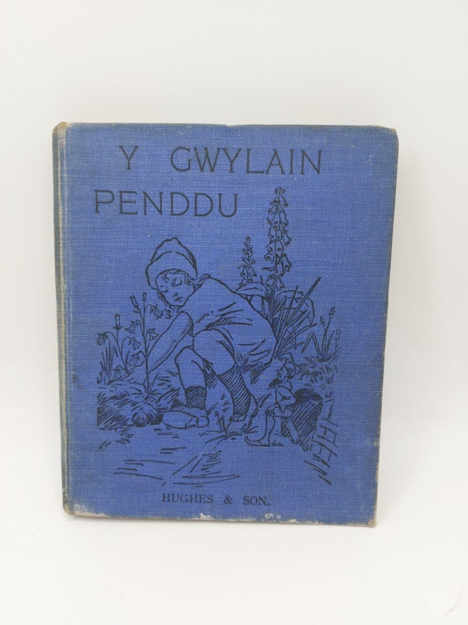 Y Gwylain Penddu 1922 Welsh Language Illustrated