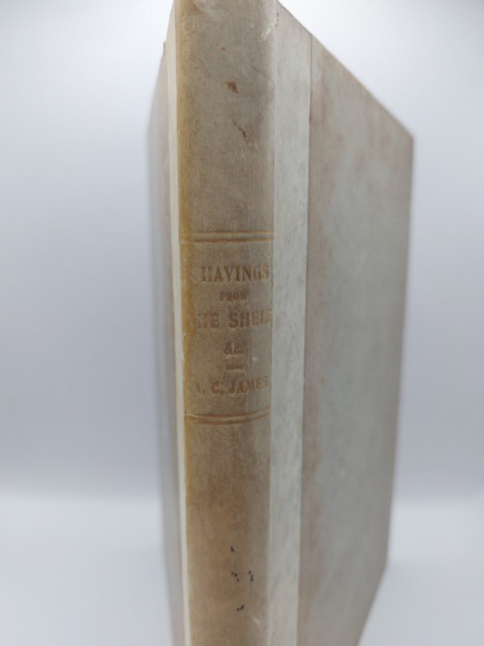 Lay of Norwich Shavings from the Shelf Aschamica 1911-1st by Arthur C James