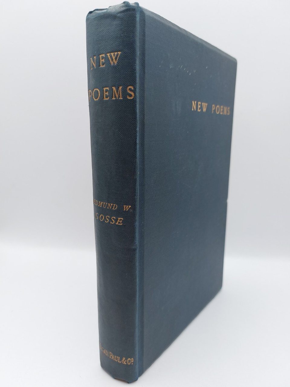 New Poems (Classic Reprint)