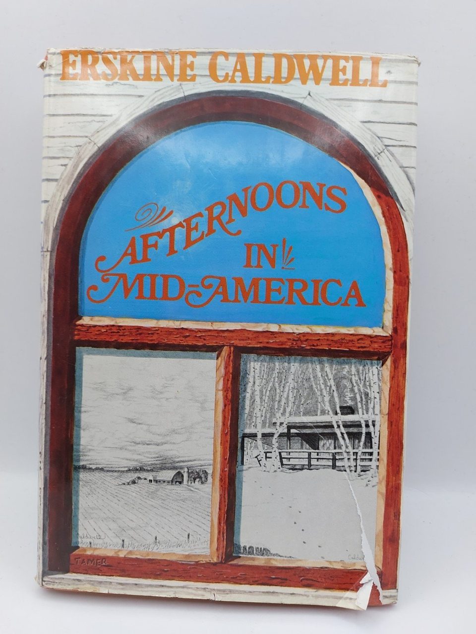 Afternoons in Mid-America by Erskine Caldwell