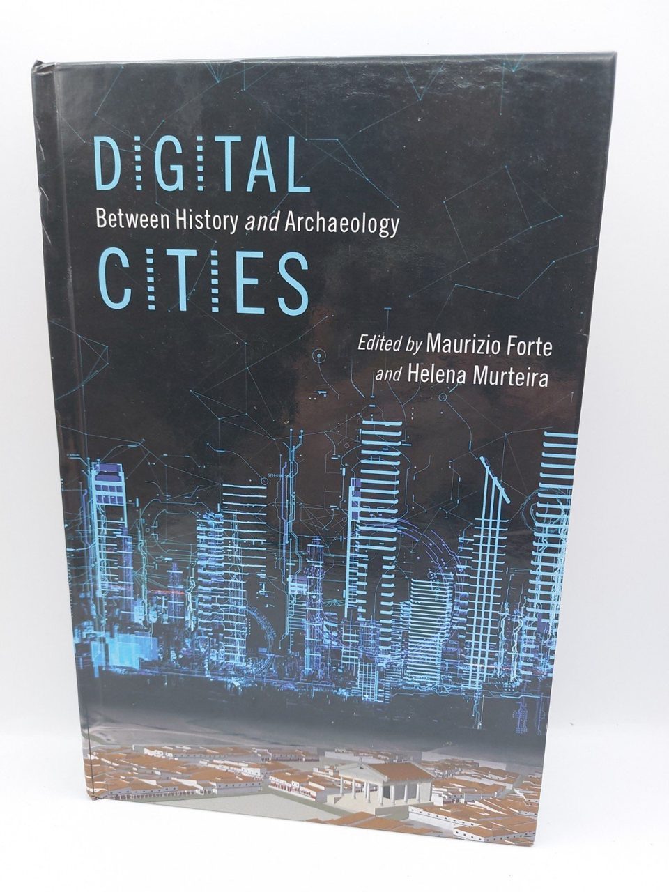 Digital Cities, Forte, Maurizio