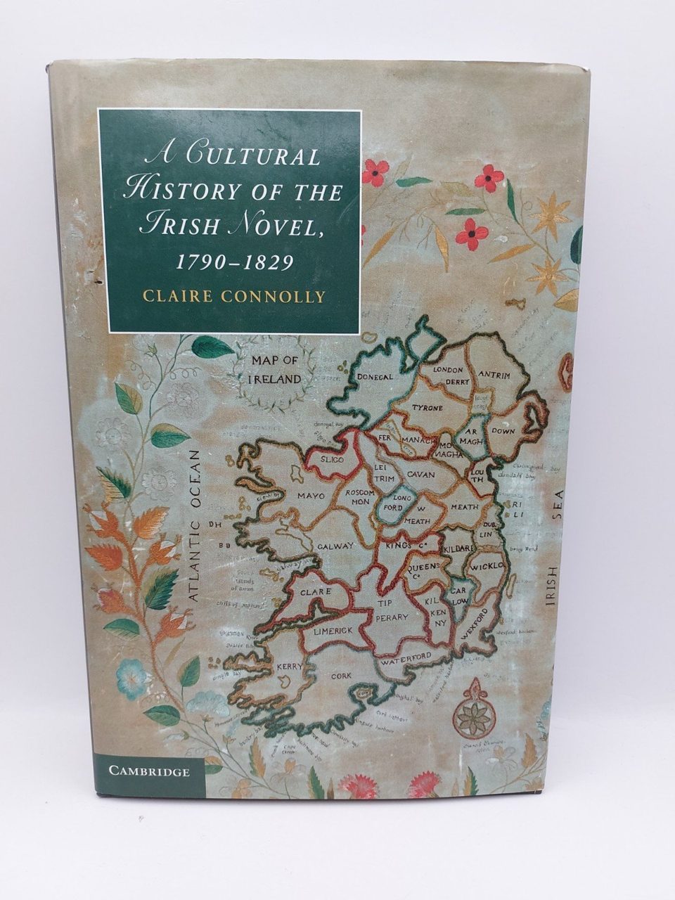 A Cultural History of the Irish Novel Claire Connolly