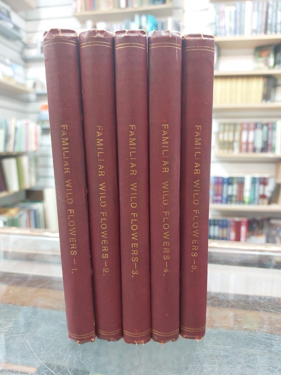Familiar Wild Flowers Vol 1 - 5 Hulme Illustrated Cassell & Co