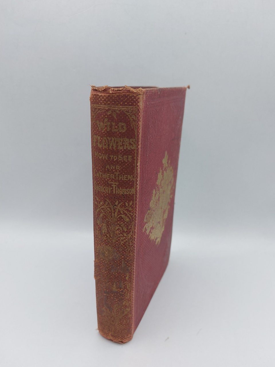 Wild Flowers 1860 Spencer Thomson Illustrated