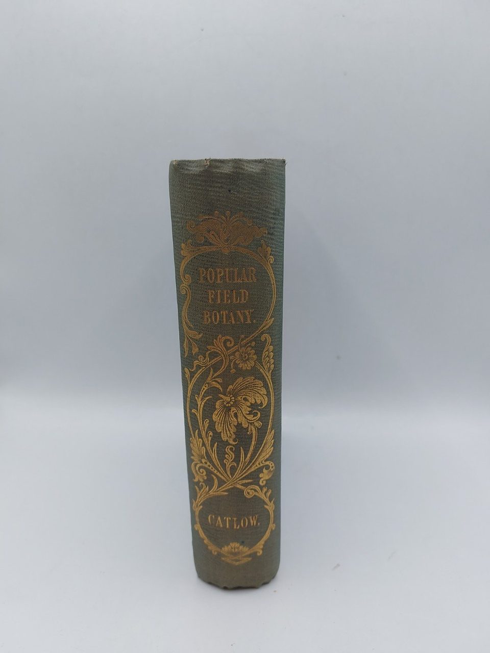 Popular Field Botany Agnes Catlow 1849 Antique Botanical Reference Illustrated