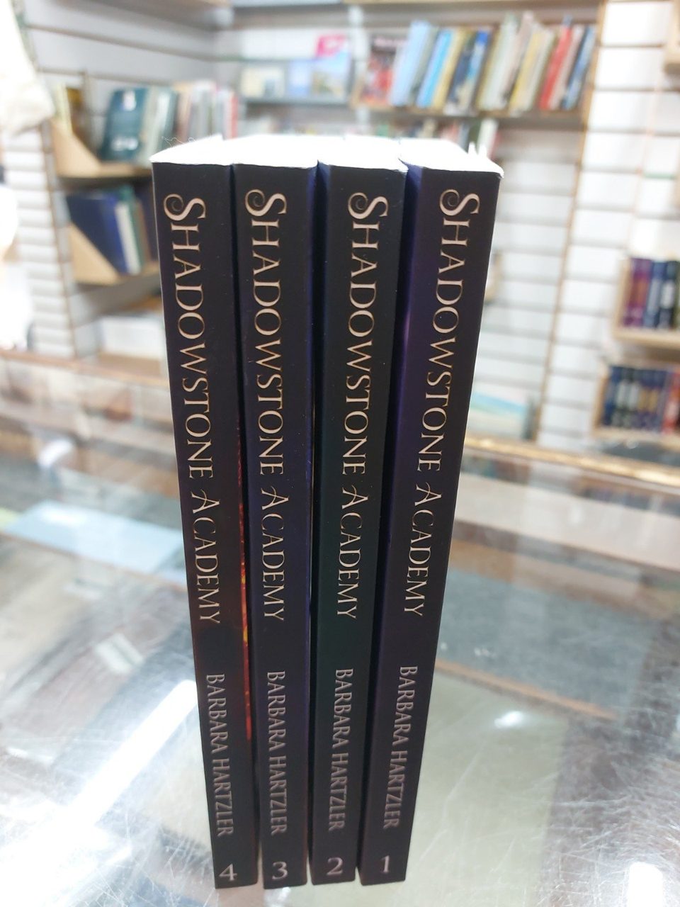 Shadowstone Academy Barbara Hartzler Volumes 1-4