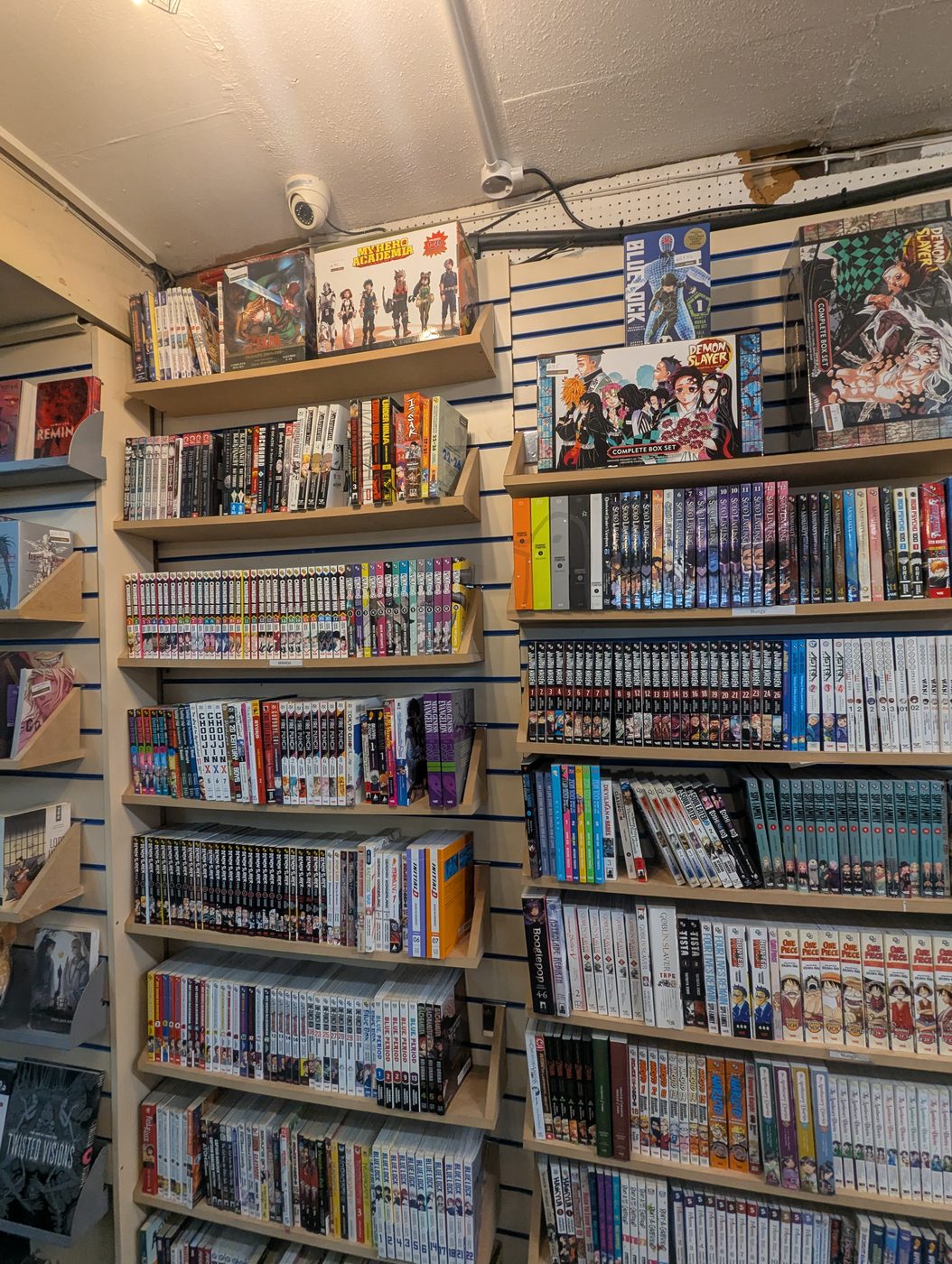 Floor-to-ceiling manga shelves