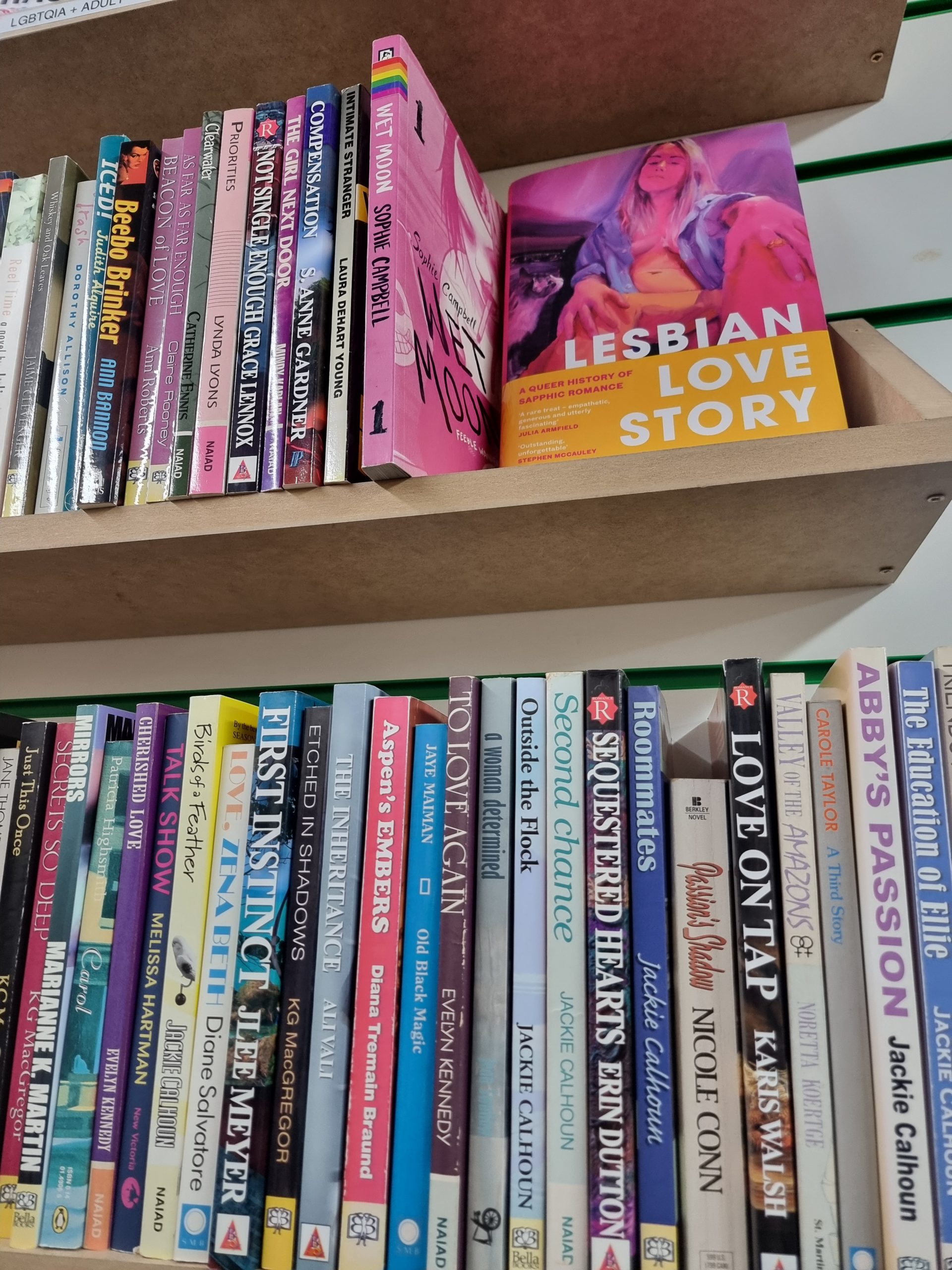 New LGBTQIA+ books in (mainly Lesbian fiction)